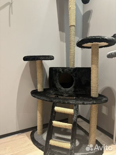 Когтеточка-домик для кошки