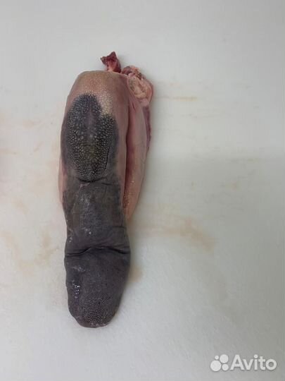 Утка тушка, тушка гуся, язык говяжий, тушка кролик