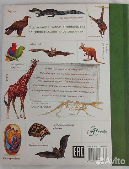 Детская энциклопедия Животные