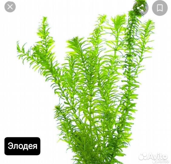 Растения,грунт и грот для аквариума