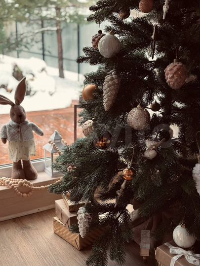 Дом 40 м² на участке 6 сот.