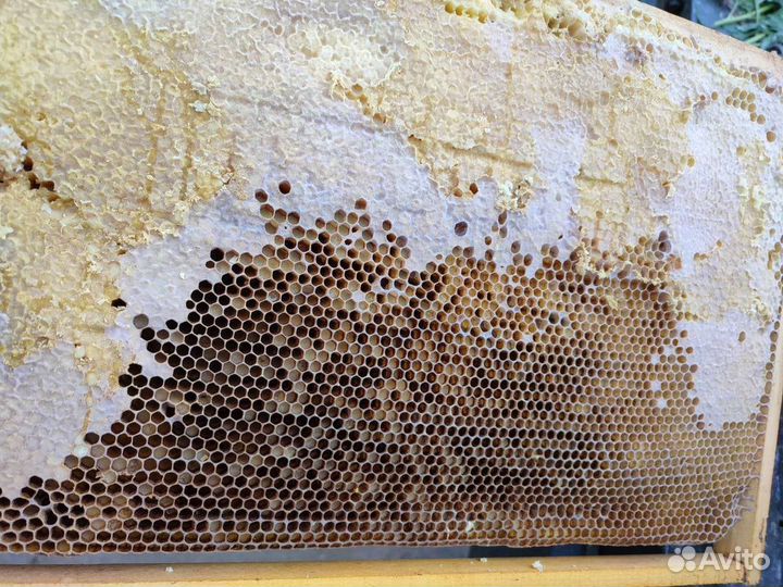 Продам сушь