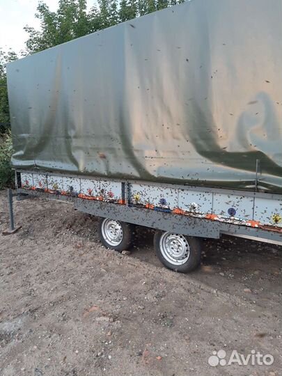 Прицеп пчеловоз легковой двухосный