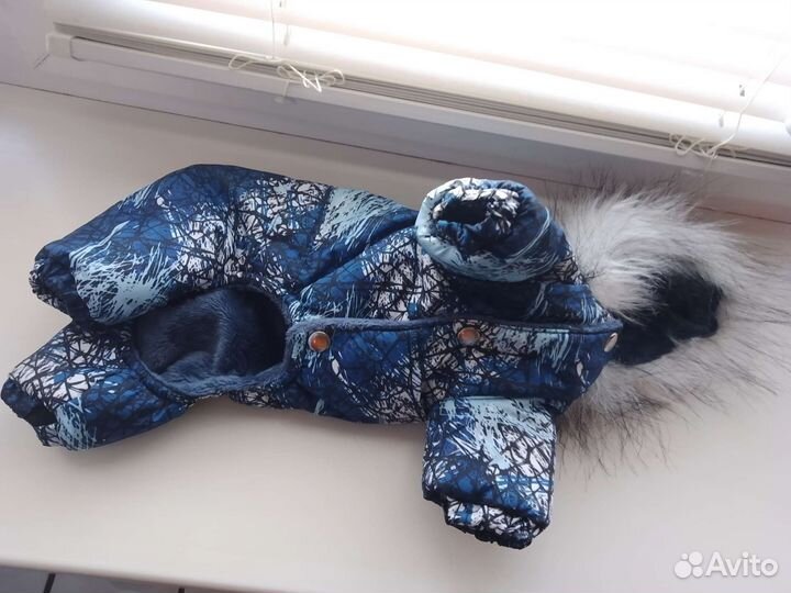 Новый комбинезон для собак