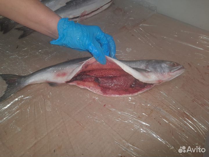 Рыба в заморозке
