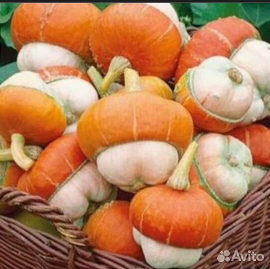 Пион, тыква декоративная