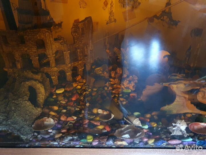 Аквариум с рыбками 300л