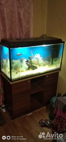 Аквариум с тумбой 200 литров