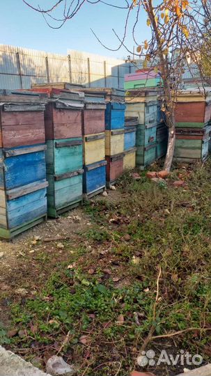 Ульи б/у