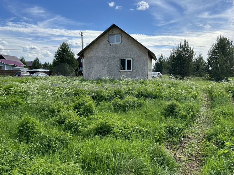 В Петербурге задержали «секс-блогера», подозреваемого в совращении 15-летней девушки