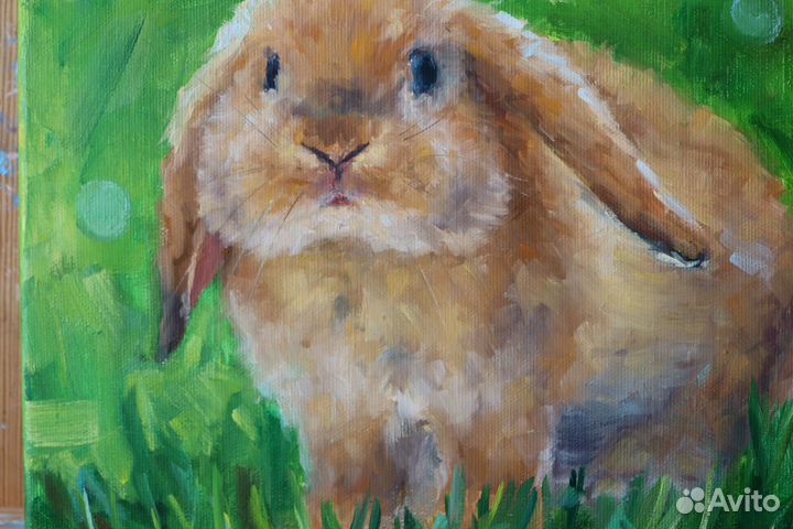 Картина маслом на холсте Рыжий Кролик