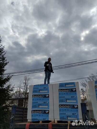 Блоки Бонолит д600
