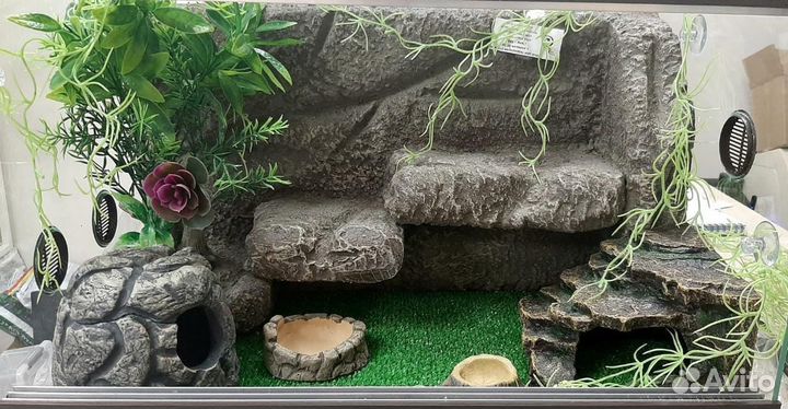 Террариум для эублефара