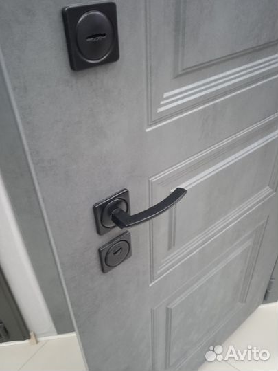 Дверь входная с зеркалом