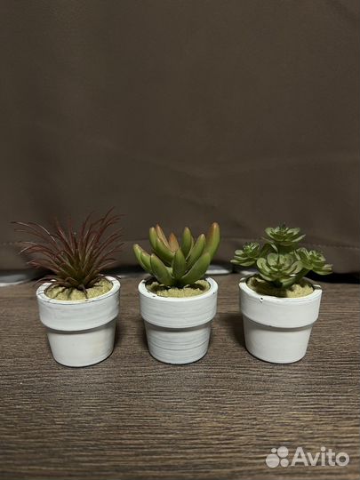 Искусственное растение Фейка IKEA суккуленты