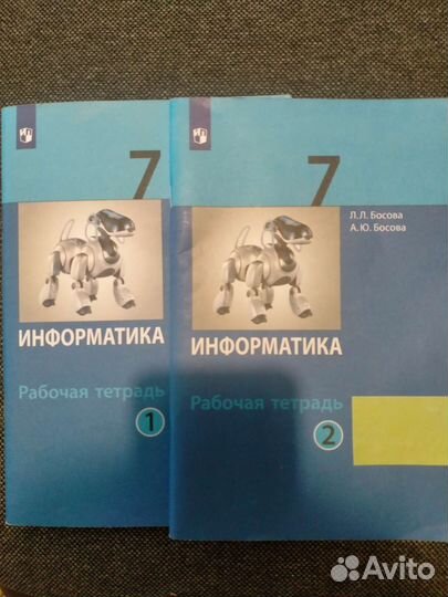 Учебник, рабочие тетради по информатике