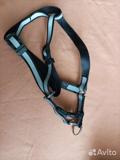 Шлейка для маленькой собаки