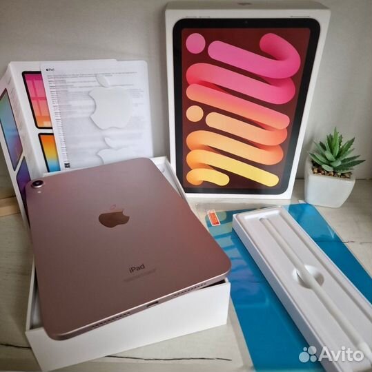 iPad Mini 6 поколения + стилус