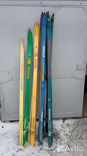 Беговые лыжи