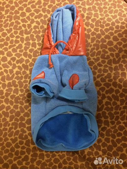 Одежда для собак