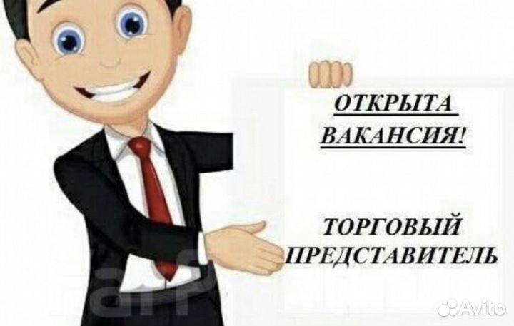 Торговый представитель на авто