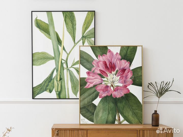 Акварельные постеры