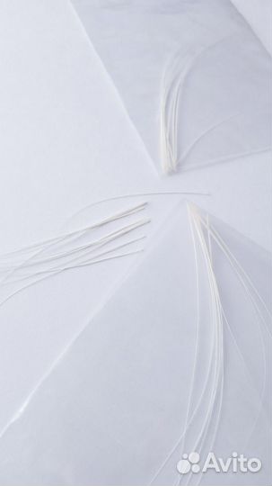 Кошачьи усы