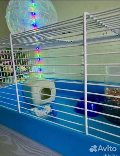 Клетка для грызунов бесплатно отдам
