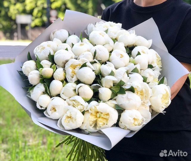 Пионы белые