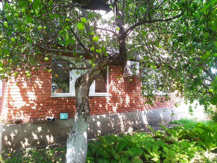 Дом 73,4 м² на участке 55 сот.