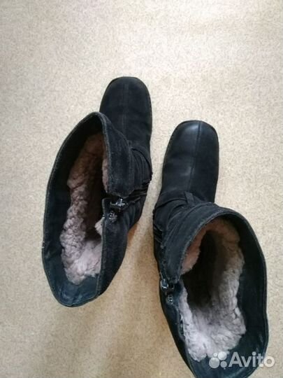 Сапоги, Антилопа. Зима.Нат.замша и мех. Р33