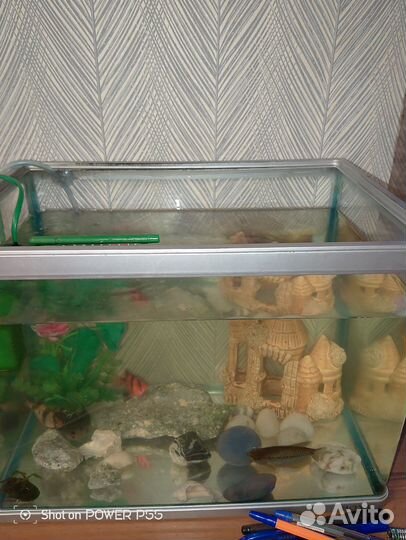 Аквариум со всеми его жителями