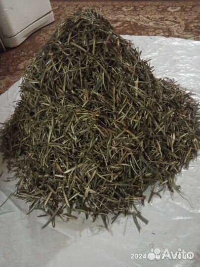 Березовые почки, кора осины