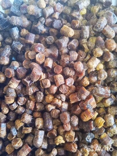 Перга пчелиная