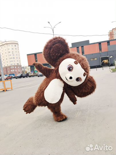 Поздравление от Чебурашки, ростовые куклы, танцор