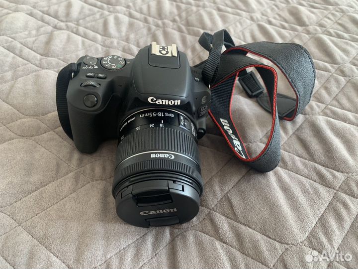 Зеркальный фотоаппарат nikon eos 200d