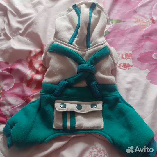 Одежда для маленьких пород собак