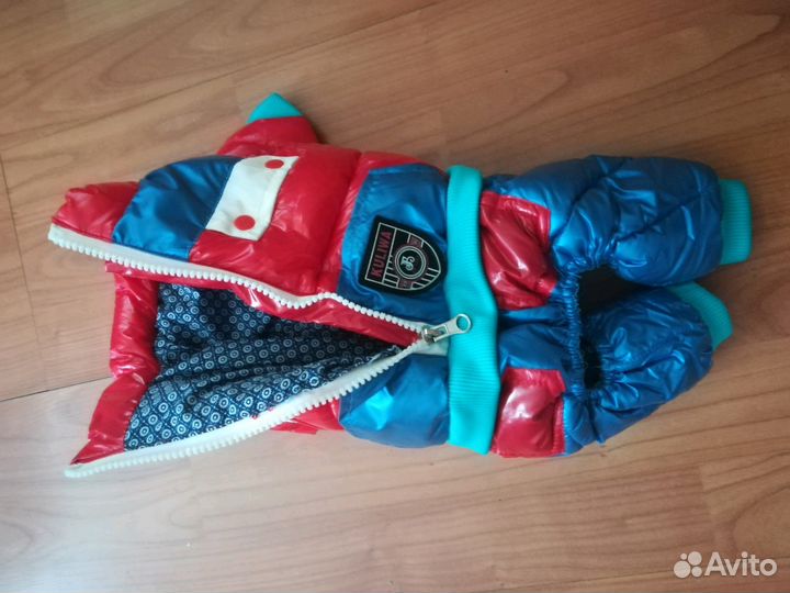 Костюм для собаки