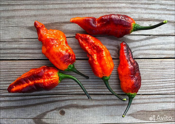 Семена острых и сверхострых перцев
