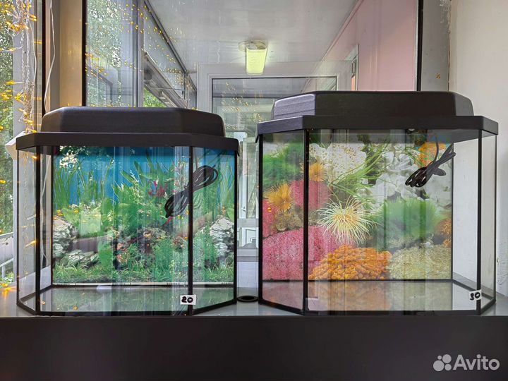 Аквариум 20 литров