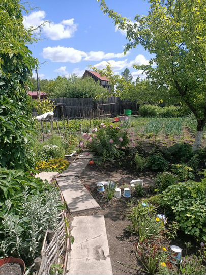 Дача 53 м² на участке 9,2 сот.