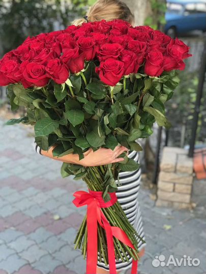 Розы Эквадор 80 100 120 160 см. Цветы. Доставка