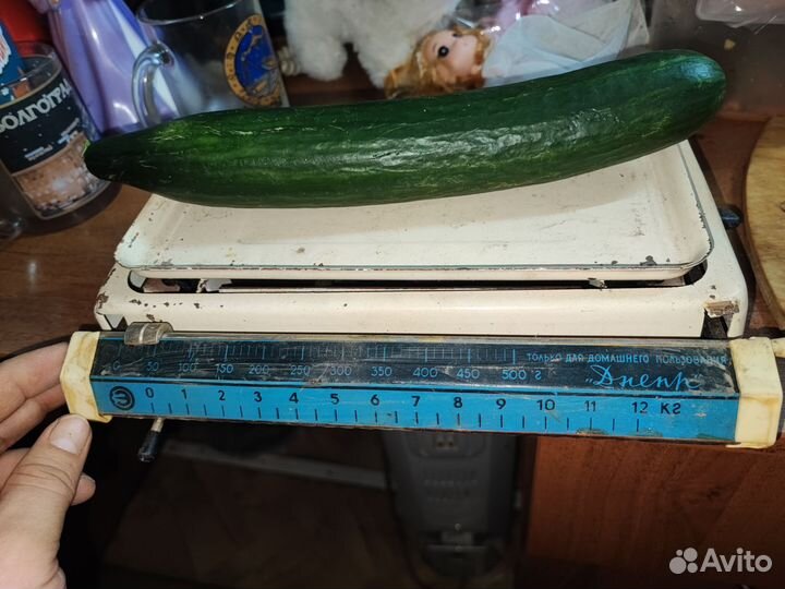 Весы бытовые Днепр СССР 1968 год