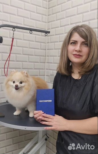 Груминг,Стрижка собак и кошек,Экспресс-линька
