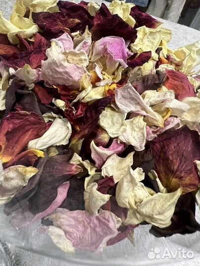 Лепестки роз