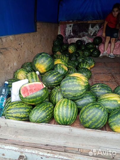 Черлакский арбузы