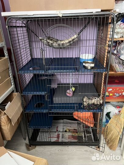 Клетка для грызунов большая, для хорьков