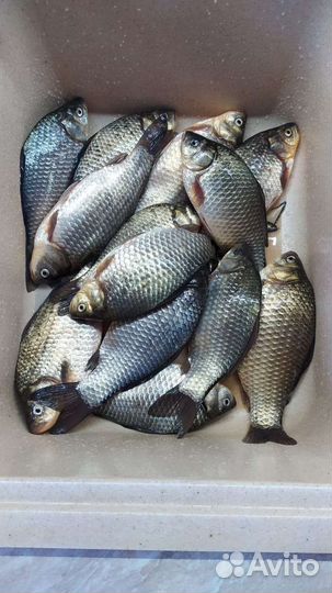 Зеркальный фотоаппарат pentax k30