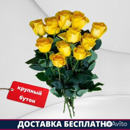 Розы Эквадор - 11 шт. 60 см