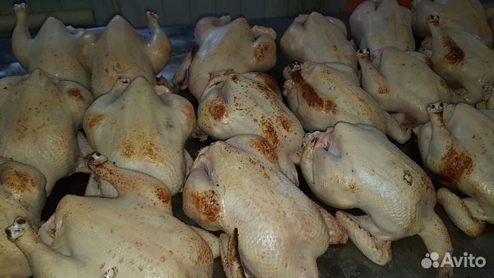 Деревенское мясо бройлера